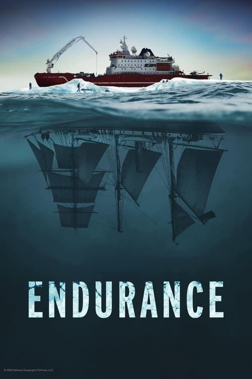 Endurance 2024 official movie poster