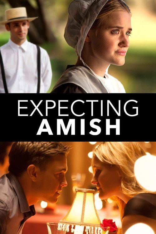 Expecting Amish 2014 official movie poster
