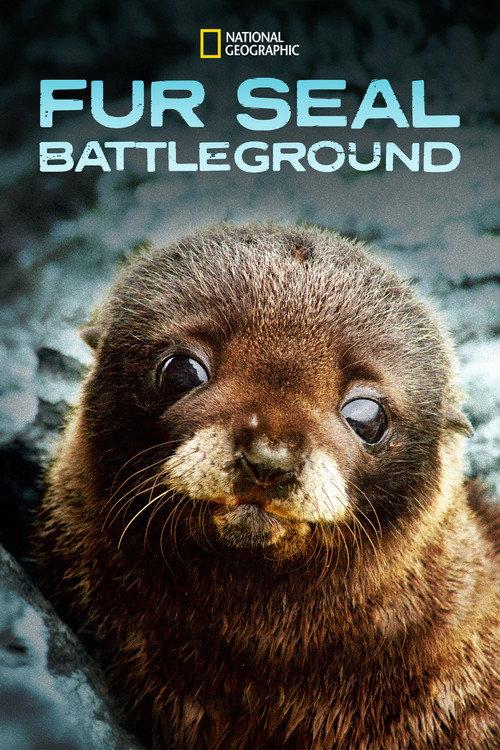 Fur Seals 2015 official movie poster