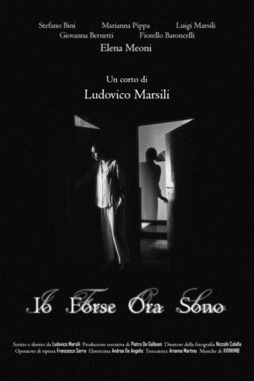 Io Forse Ora Sono 2024 official movie poster