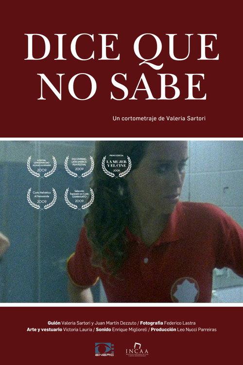 Dice que no sabe 2008 official movie poster