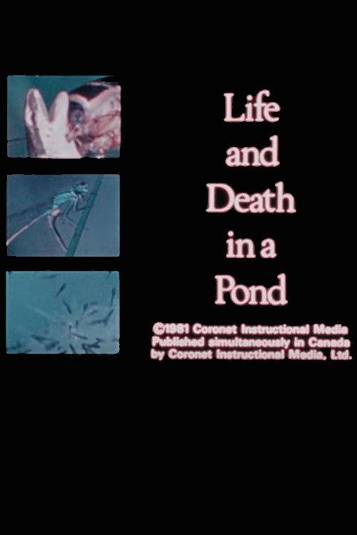 Life and Death in A Pond 1981 official movie poster