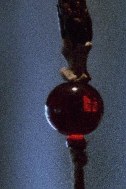 Pan 1 1974 official movie poster