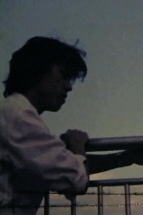 Double Fantasy 1985 official movie poster