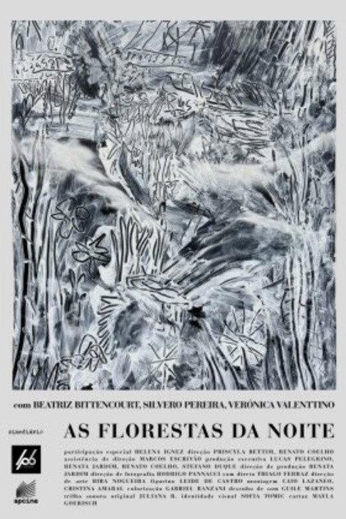 As Florestas da Noite 2026 official movie poster