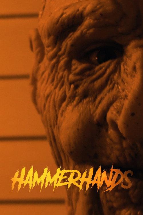 HammerHands 2019 official movie poster
