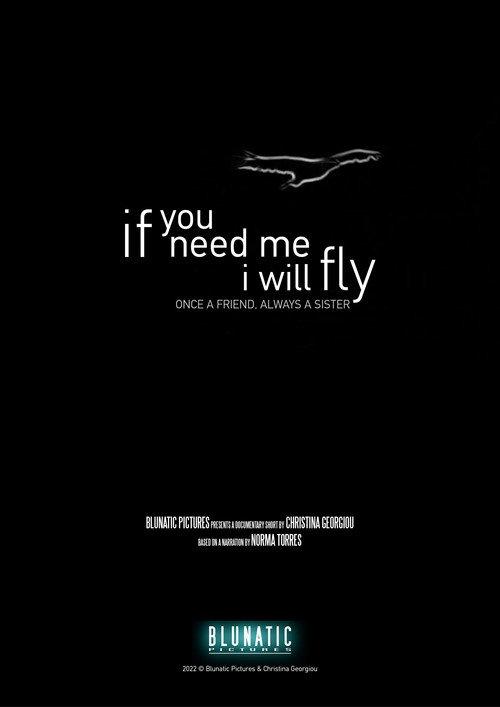 If You Need Me, I Will Fly 2023 official movie poster