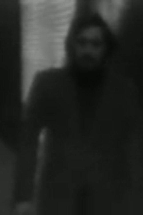Public and secret diary 1975 official movie poster