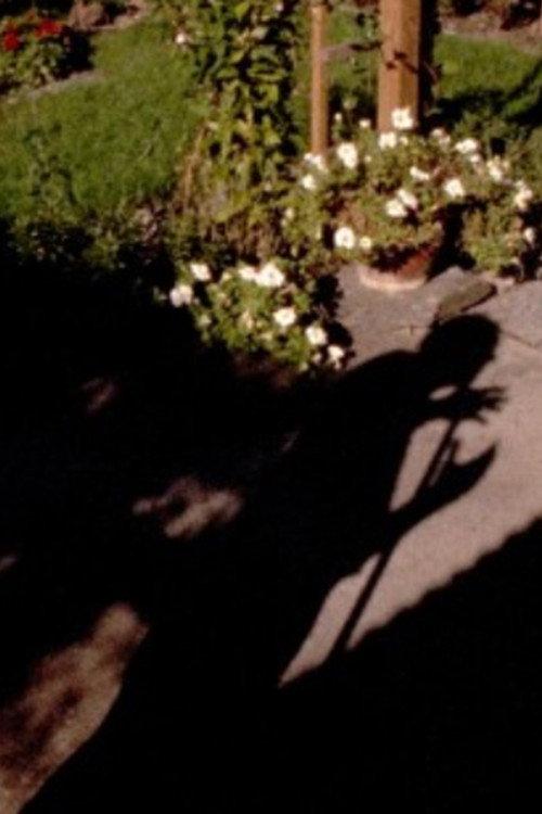 Out in the Garden 1991 official movie poster