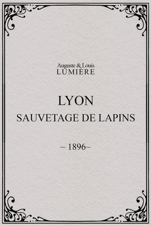 Lyon : sauvetage de lapins 1896 official movie poster