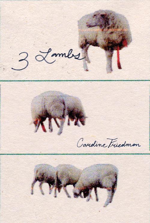 3 Lambs 2026 official movie poster