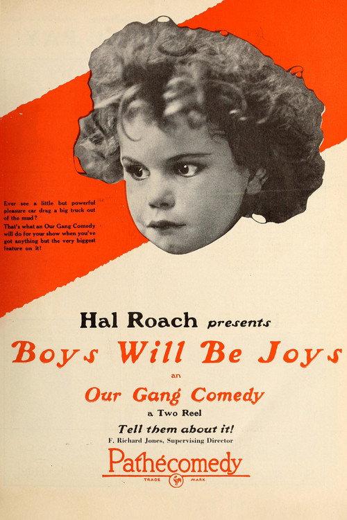Boys Will Be Joys 1925 official movie poster