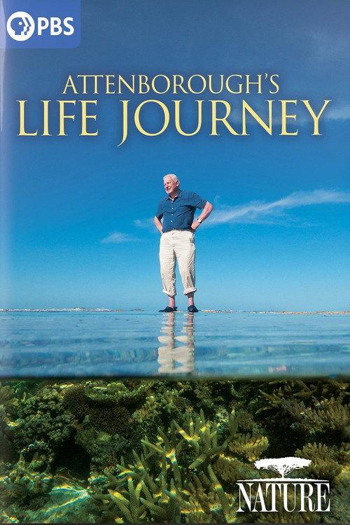Attenborough's Life Journey 2024 official movie poster