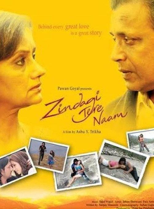 Zindagi Tere Naam 2012 official movie poster
