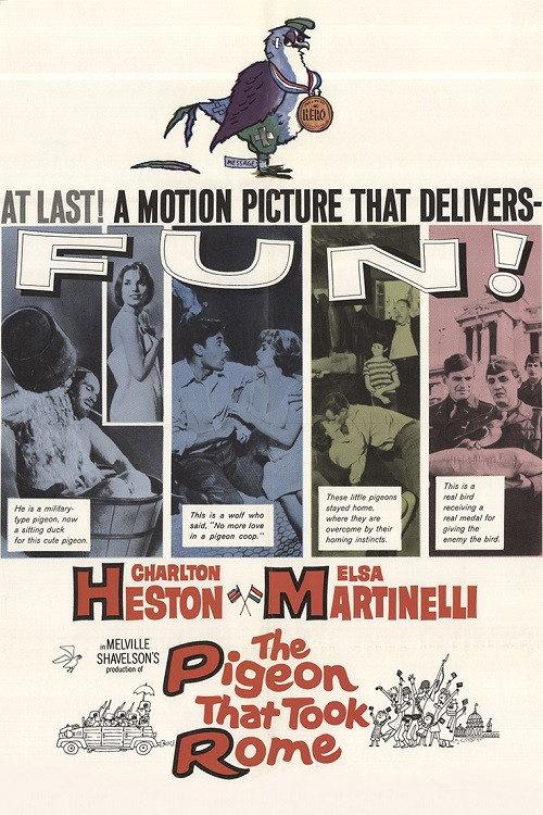 The Pigeon That Took Rome 1962 official movie poster