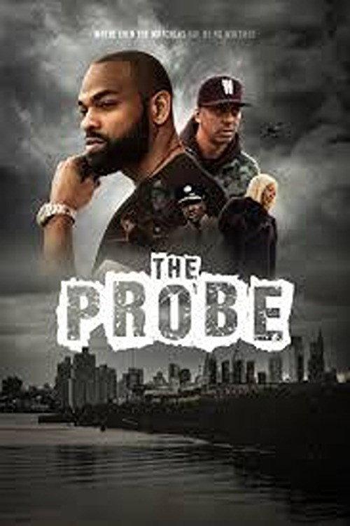 The Probe 2024 official movie poster