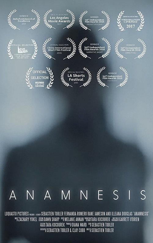 Anamnesis 2016 official movie poster