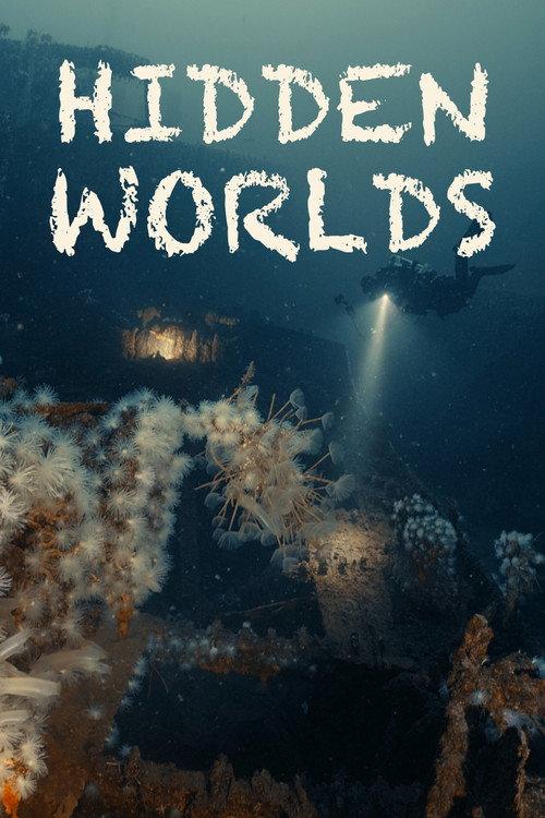 Hidden Worlds official movie poster