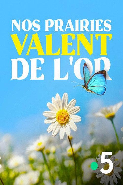Nos prairies valent de l'or 2020 official movie poster