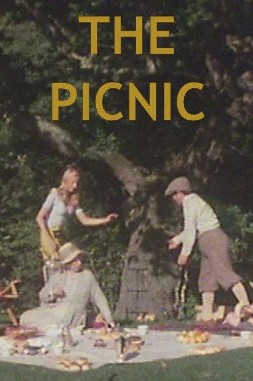 The Picnic 1976 official movie poster
