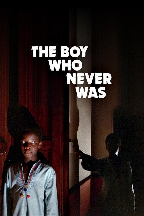 The Boy Who Never Was 1980 official movie poster