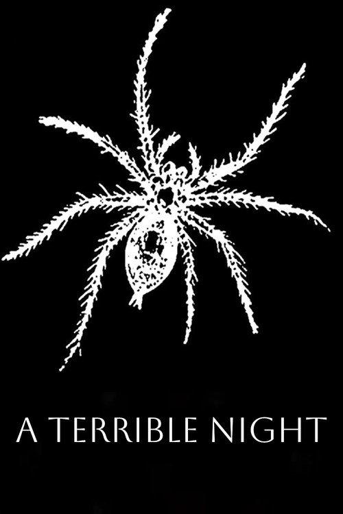 A Terrible Night 1896 official movie poster