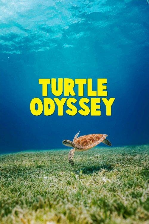 Turtle Odyssey 2018 official movie poster