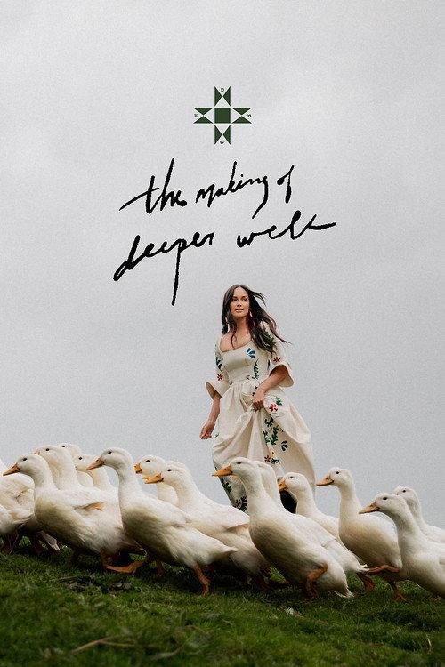the making of deeper well 2025 official movie poster