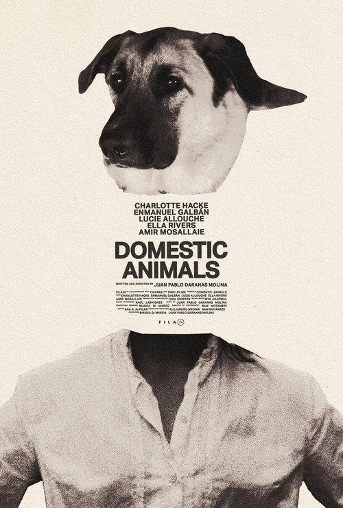 Domestic Animals 2025 official movie poster