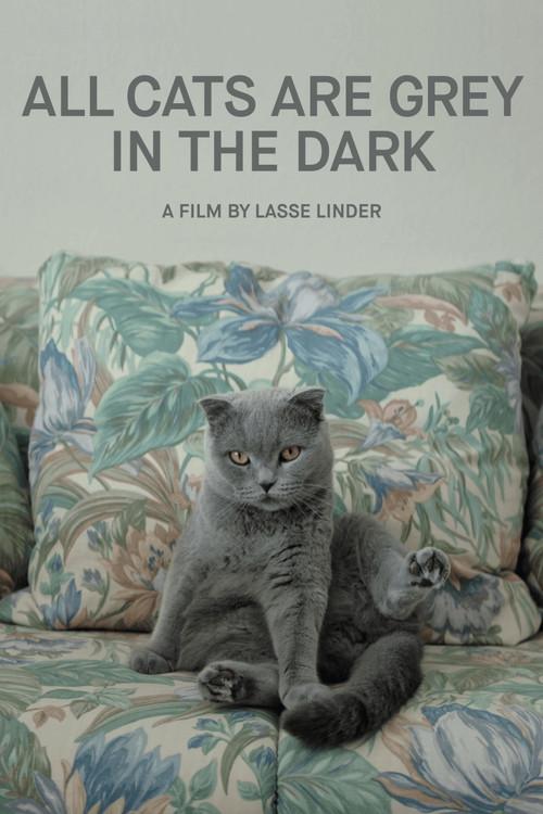 All Cats Are Grey in the Dark 2019 official movie poster