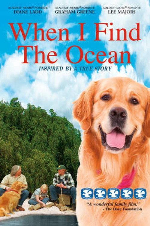 When I Find the Ocean 2006 official movie poster