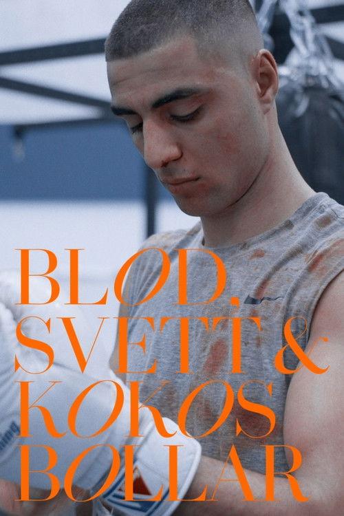 Blod, svett och kokosbollar 2024 official movie poster