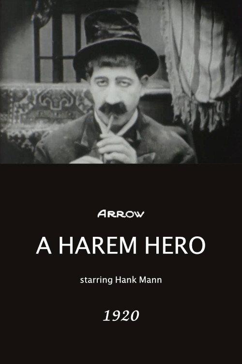 A Harem Hero 1920 official movie poster