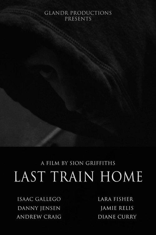 Last Train Home 2008 official movie poster