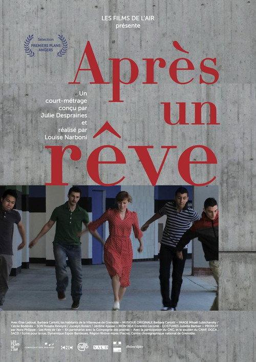 After a Dream 2013 official movie poster
