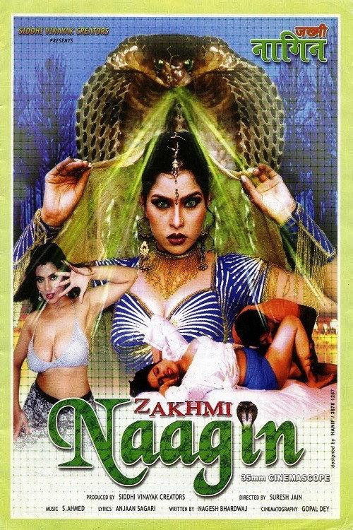 Zakhmi Naagin 2004 official movie poster