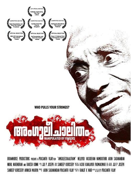 Manipulated by Fingers 2013 official movie poster