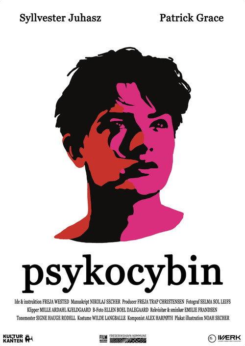 Psykocybin 2024 official movie poster