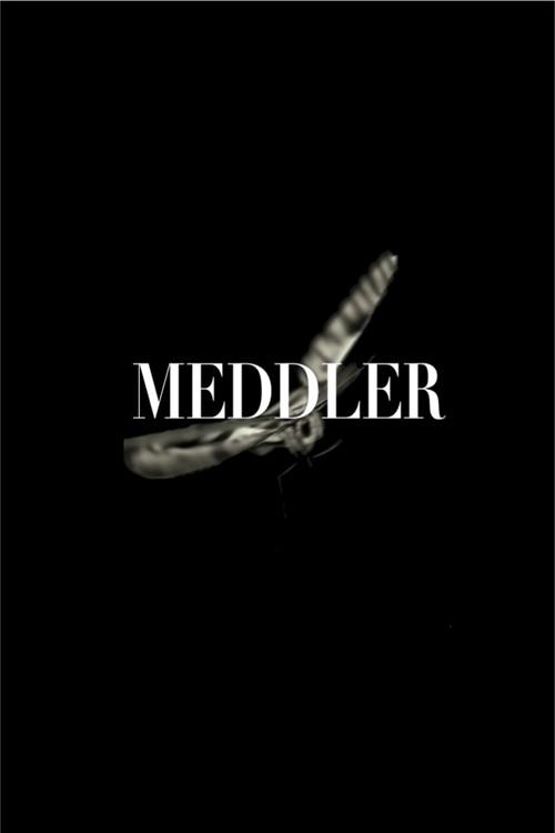 Meddler 2011 official movie poster