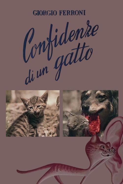 Confidenze di un gatto 1953 official movie poster