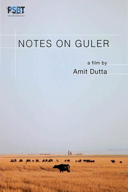 Notes on Guler 2019 official movie poster