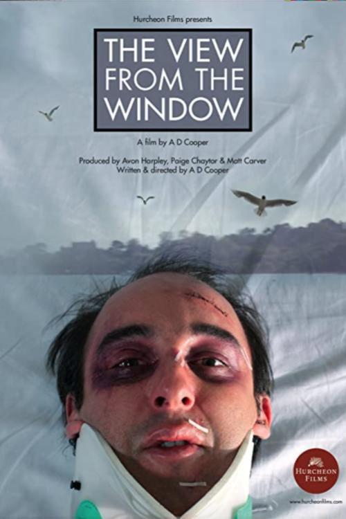 The View From The Window 2012 official movie poster