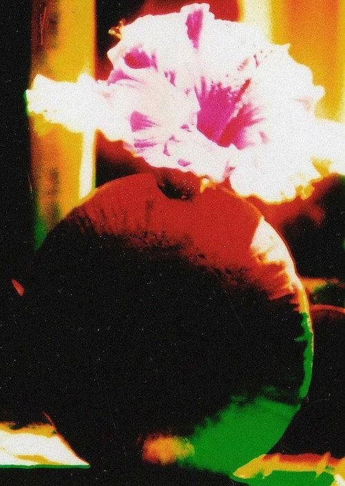 The Room of Chromatic Mystery 2006 official movie poster