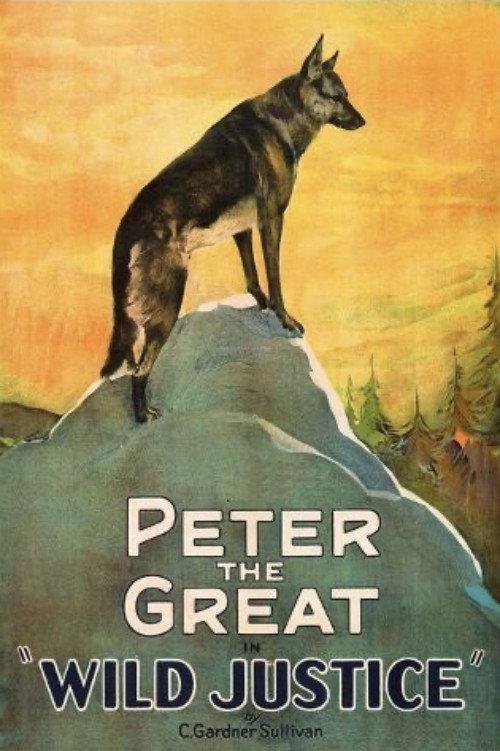Wild Justice 1925 official movie poster