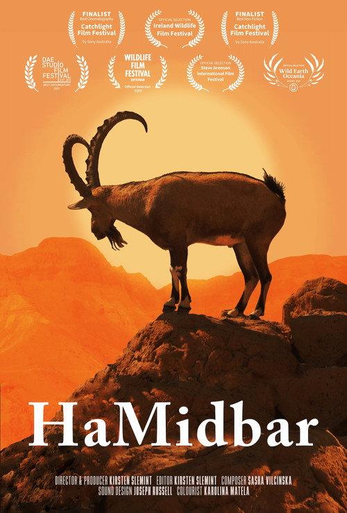 HaMidbar 2023 official movie poster