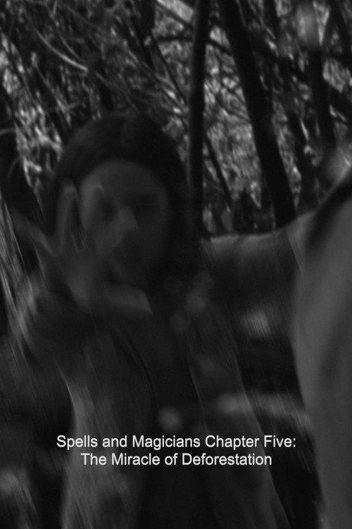 Spells and Magicians Chapter Five: The Miracle of Deforestation 2015 official movie poster
