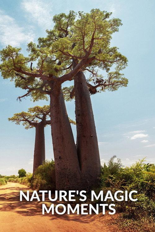 Nature's Magic Moments 2022 official movie poster