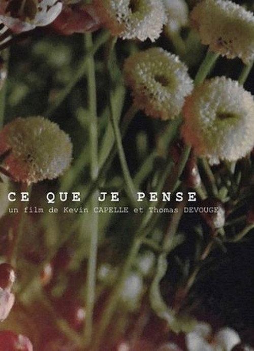 Ce que je pense 2017 official movie poster