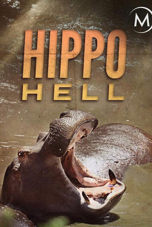 Hippo Hell 2007 official movie poster