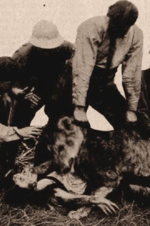Alone in the Jungle 1913 official movie poster